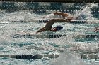 Swimming vs Babson  Wheaton College Swimming vs Babson College. - Photo By: KEITH NORDSTROM : Wheaton, Swimming, Babson